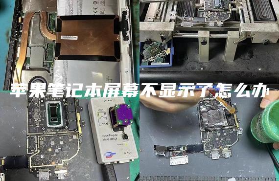 蘋果筆記本屏幕不顯示了怎么辦